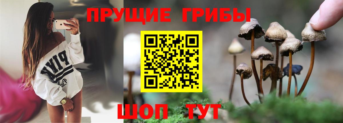 Ленинск-Кузнецкий  Псилоцибиновые грибы мицелий  Вход с VPN 